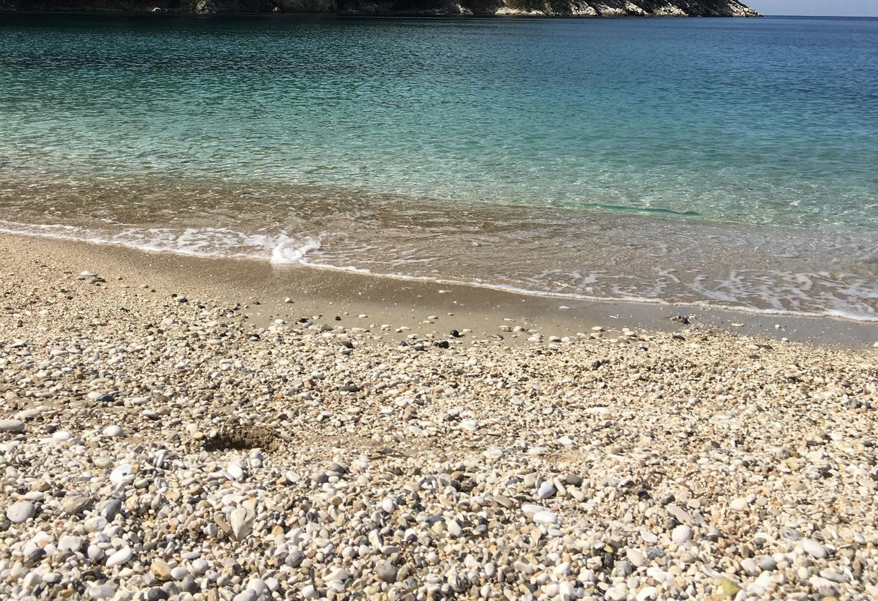 Wonderful Bay
